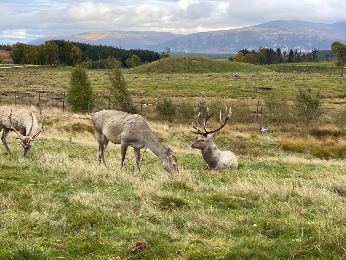Hotel Ardenbeg Grantown-on-Spey Exteriér fotografie